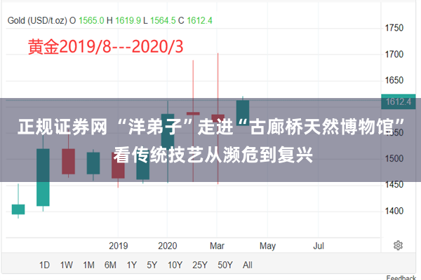 正规证券网 “洋弟子”走进“古廊桥天然博物馆” 看传统技艺从濒危到复兴