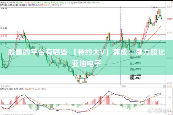 股票的平台有哪些 【特约大V】龚成：潜力股比亚迪电子