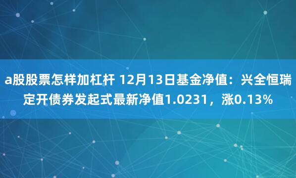 a股股票怎样加杠杆 12月13日基金净值：兴全恒瑞定开债券发起式最新净值1.0231，涨0.13%