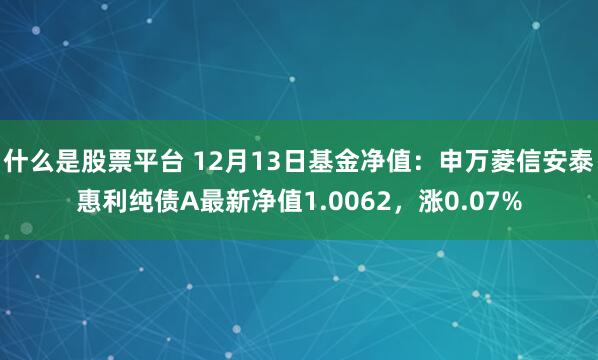 什么是股票平台 12月13日基金净值：申万菱信安泰惠利纯债A最新净值1.0062，涨0.07%