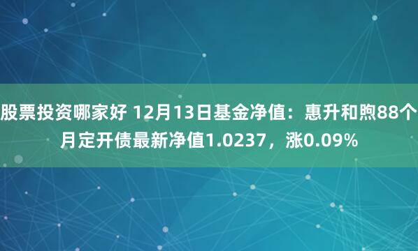 股票投资哪家好 12月13日基金净值：惠升和煦88个月定开债最新净值1.0237，涨0.09%