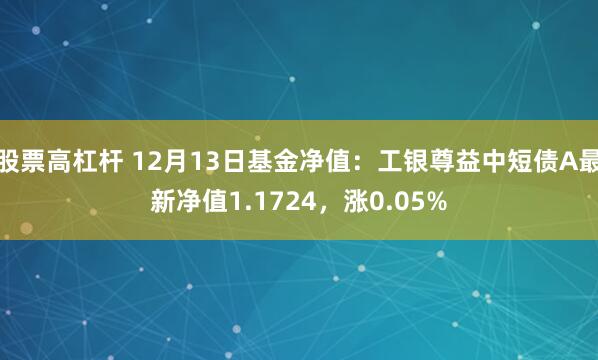 股票高杠杆 12月13日基金净值：工银尊益中短债A最新净值1.1724，涨0.05%