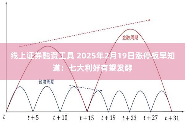 线上证券融资工具 2025年2月19日涨停板早知道：七大利好有望发酵