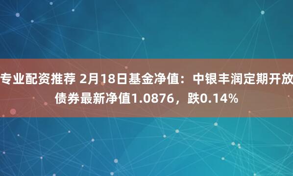 专业配资推荐 2月18日基金净值：中银丰润定期开放债券最新净值1.0876，跌0.14%